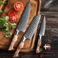 3 - Piece Knife Set - Master Series (B30) - Xinzuo Australia