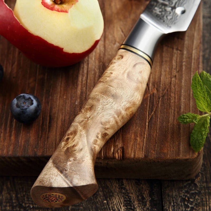 3.5" Paring Knife - Master Series (B30) - Xinzuo Australia