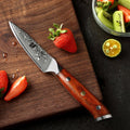 3.5" Paring Knife - Yu Series (B13R) - Xinzuo Australia