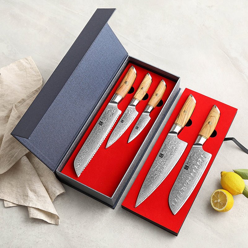 5 - Piece Knife Set - Lan Series (B37) - Xinzuo Australia